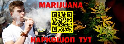 крисы Краснодар