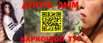 крисы Краснодар